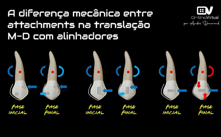 Movimento complexo — controle radicular