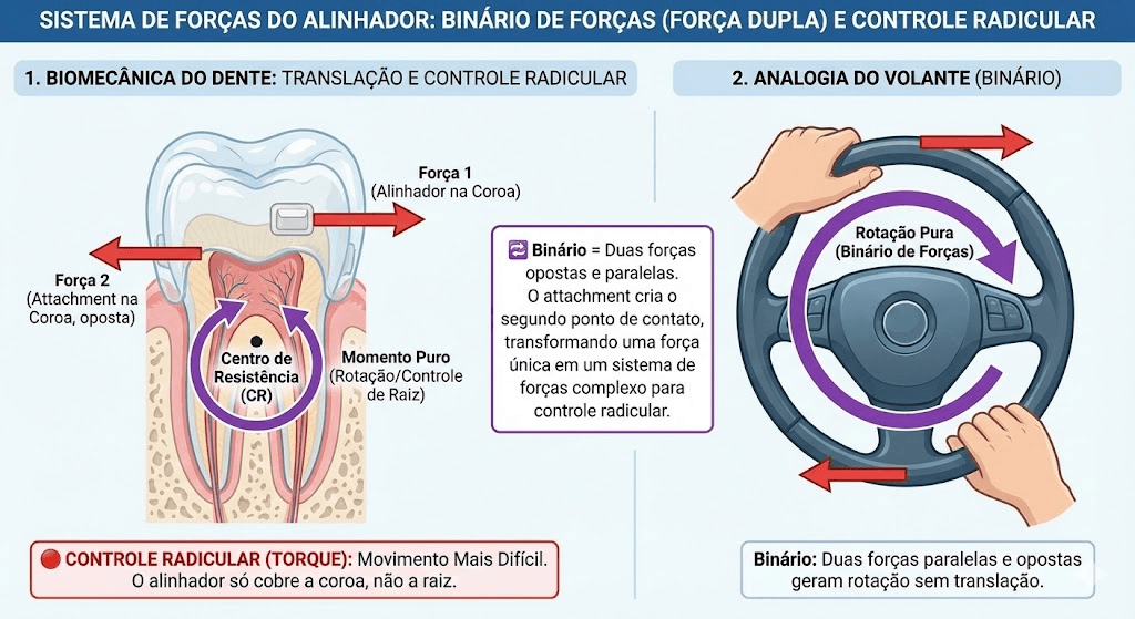Diagrama do binário de forças necessário para translação e controle radicular