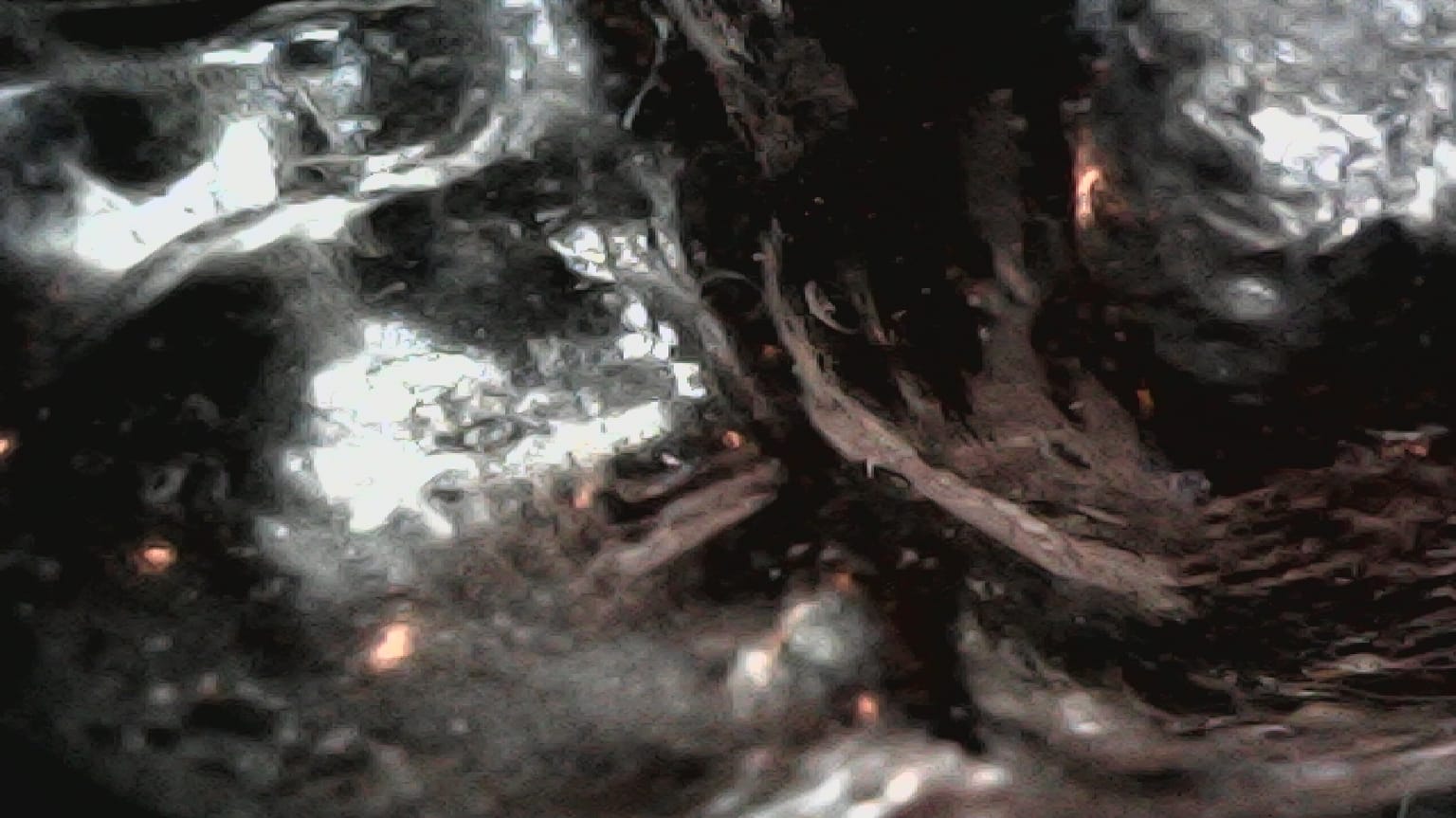 foto de microscópio, área oclusal de um molar de um alinhador que ainda não foi usado.